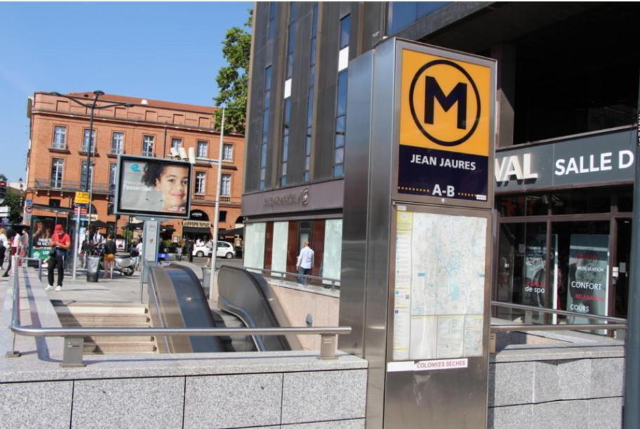 L'Elegance Du Midi - Climatisation Reversible Toulouse Eksteriør billede